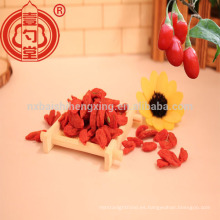 China wolfberry ningxia goji berry en frutos secos para la venta